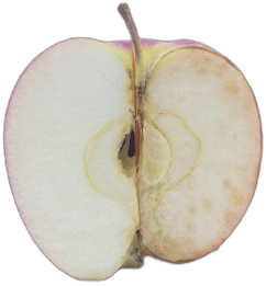 Oxidized apple