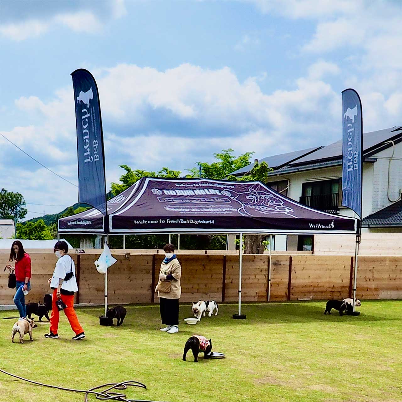 ワンタッチタープテントセット3m×6m