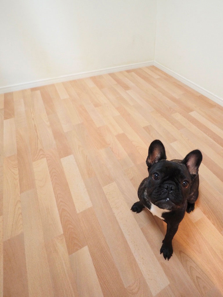 No.65 / スモークドピーチ 画像6