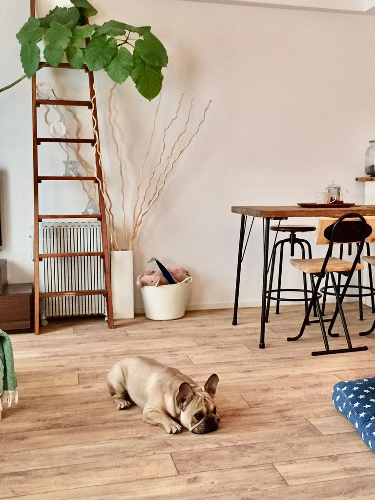 No.80/ ヨーロピアンオーク 画像10