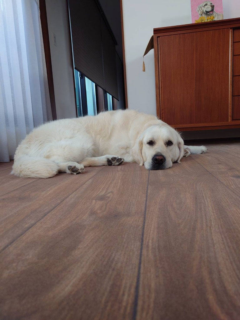 No.88/ ダークオーク 画像5