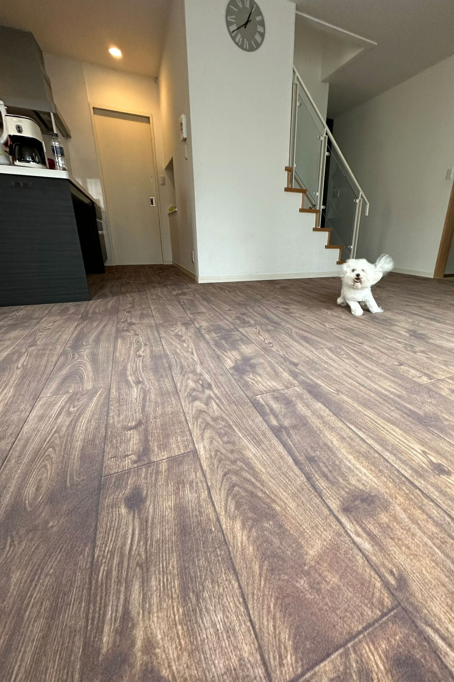 No.88/ ダークオーク 画像9