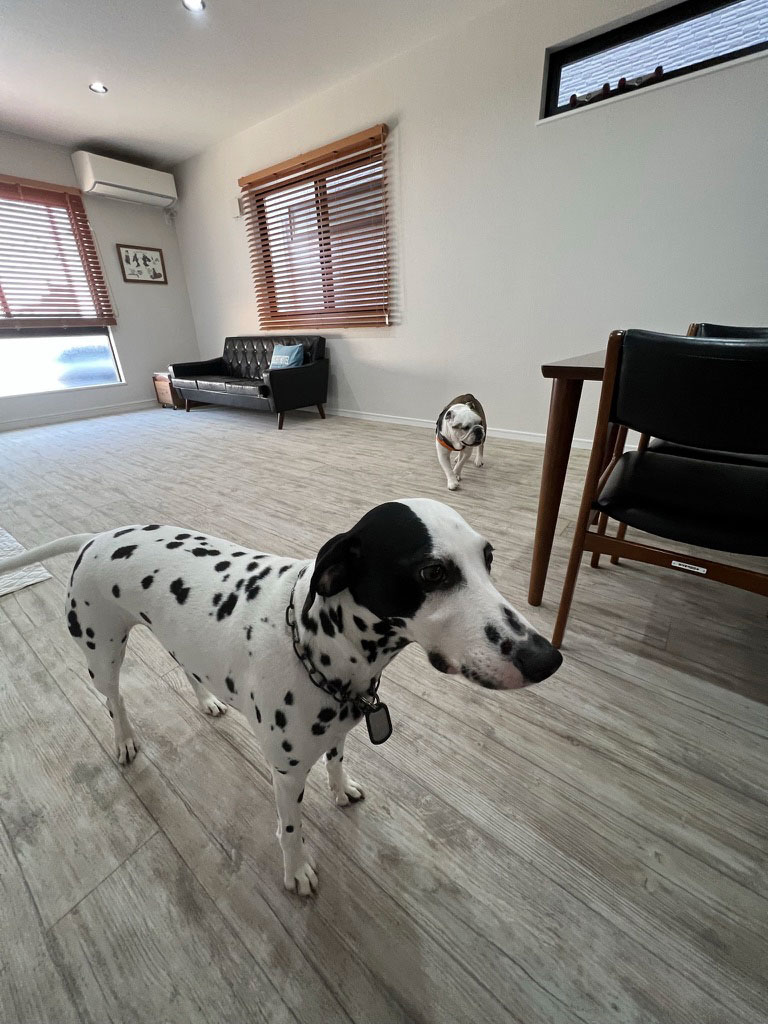 No.95/ ヨーロピアンホワイトウッド 画像3