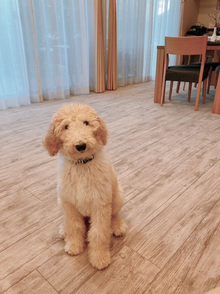 No.95/ ヨーロピアンホワイトウッド 画像8