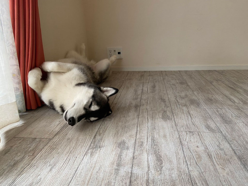 No.95/ ヨーロピアンホワイトウッド 画像11