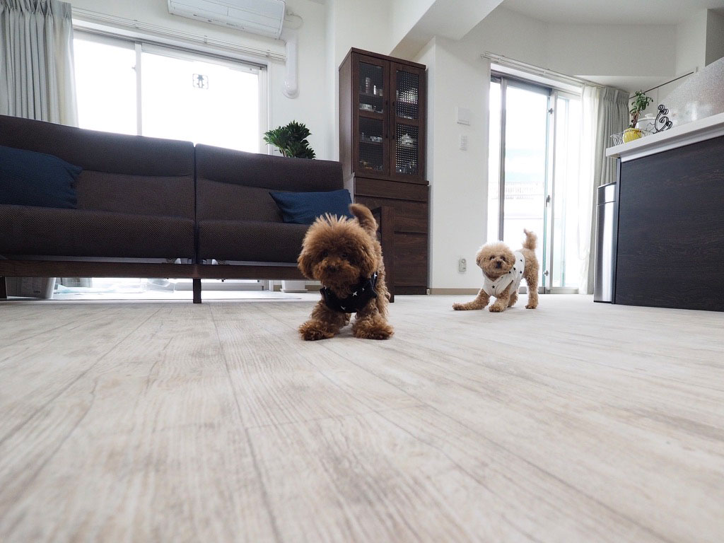 No.95/ ヨーロピアンホワイトウッド 画像13