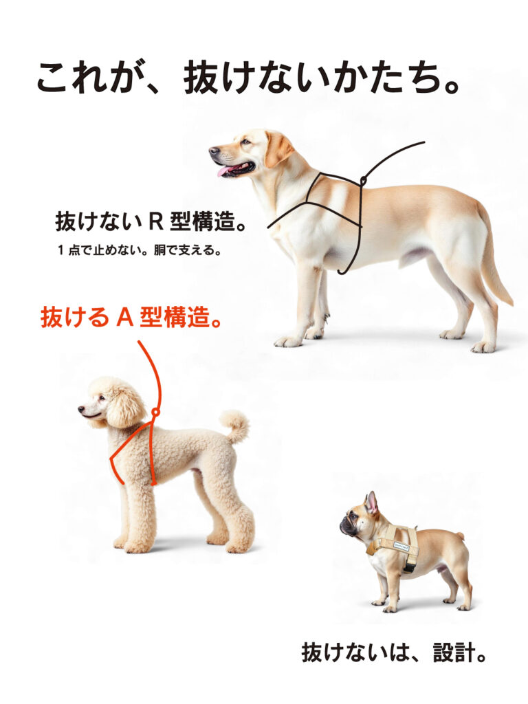 犬のハーネス構造の違い|抜けないR型構造と抜けやすいA型構造の比較