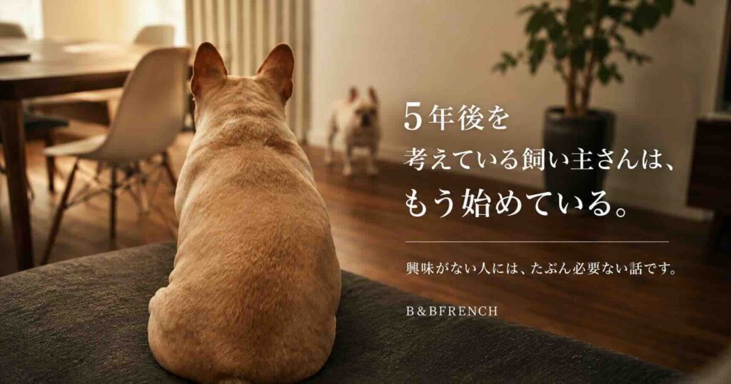 ソファの上からリビングを見つめるフレンチブルドッグ。愛犬の5年後を考え、健康な暮らしと住環境の大切さを伝えるイメージ写真。