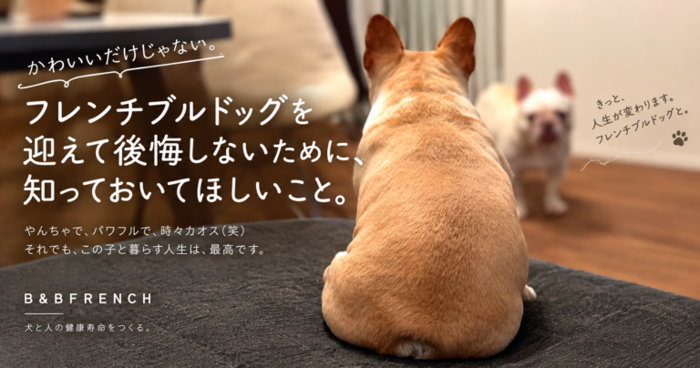 フレンチブルドッグを迎えて後悔しないために知っておいてほしいこと